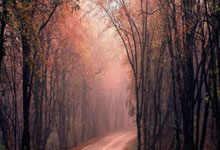 欧博：罗马诺：埃基蒂克今夏预计将离队；传枪手蓝军曼联密切关注.