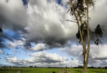 遗憾！王钰栋独造2球后惨遭踩脚踝+被抬出场 网友怒骂33岁肇事者.