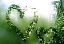 欧博：帕雷德斯回应拉菲尼亚：别说那种话，尤其是在场上无法证明时.