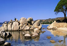 难忘知遇之恩！切尔西中场核心婉拒多名马竞球员游说 选择继续留队.